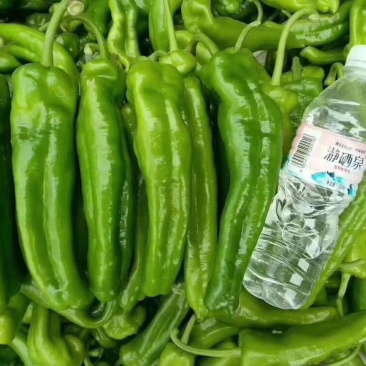 鲜辣椒