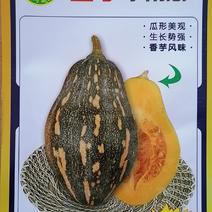 10克粵蔬牌香芋小南瓜种
