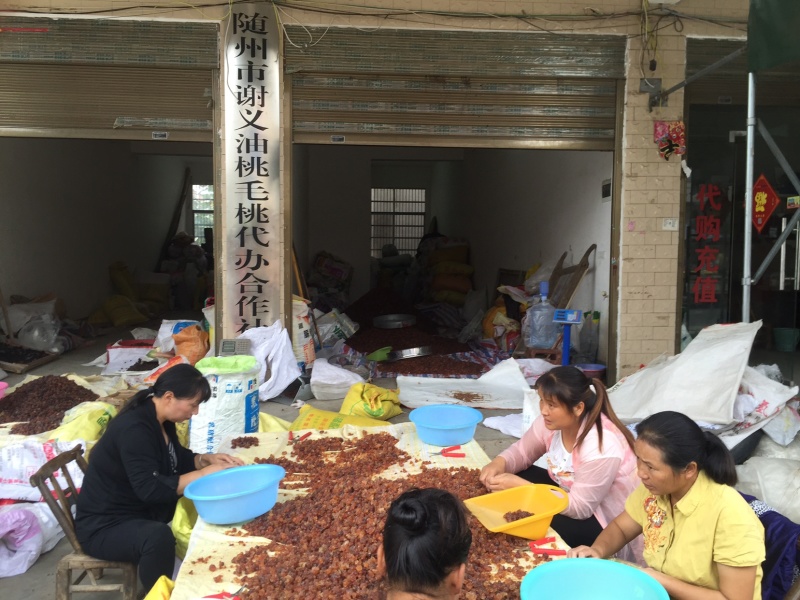 桃胶人工精修360度修剪圆珠湖北随县源头工厂一手货源批发