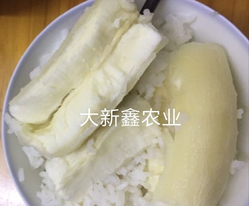 有机板栗木薯(好粉)10斤送2斤(足称)
