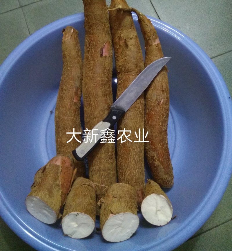 有机板栗木薯(好粉)10斤送2斤(足称)
