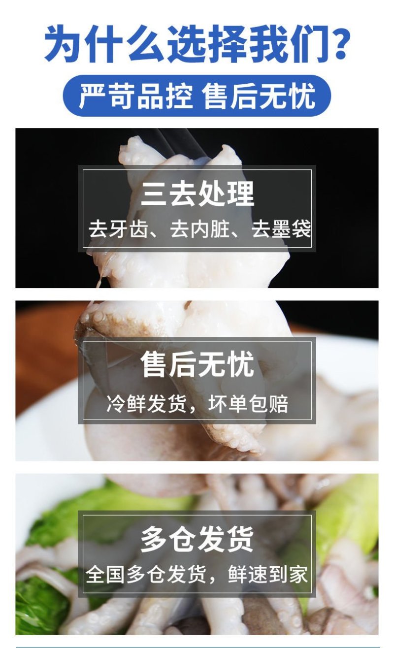 【促销】八爪鱼4斤小章鱼乌贼整只冷冻鲜活速冻海鲜水产
