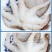 【促销】八爪鱼4斤小章鱼乌贼整只冷冻鲜活速冻海鲜水产