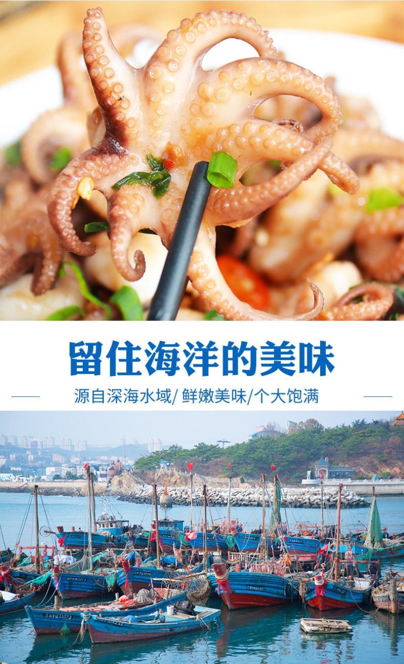 【促销】八爪鱼4斤小章鱼乌贼整只冷冻鲜活速冻海鲜水产