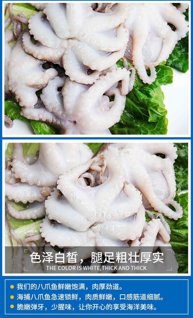 【促销】八爪鱼4斤小章鱼乌贼整只冷冻鲜活速冻海鲜水产