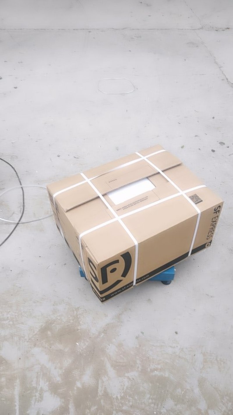 红油香椿苗大棚专用提供技术直销基地