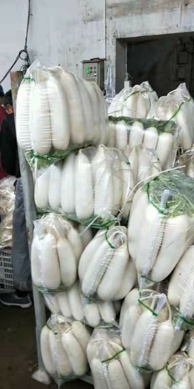 白萝卜