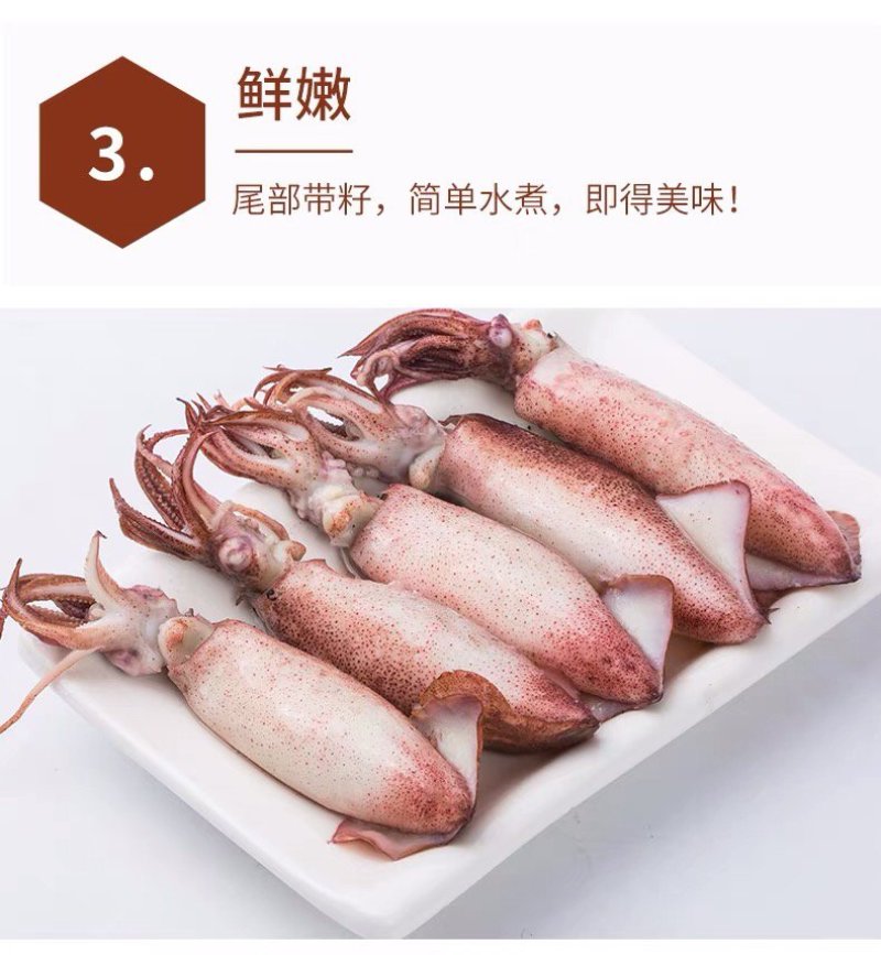 【一件代发】【春节发货】全籽海兔籽乌笔管鱼