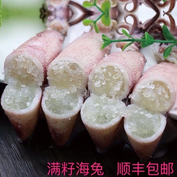 【一件代发】【春节发货】全籽海兔籽乌笔管鱼