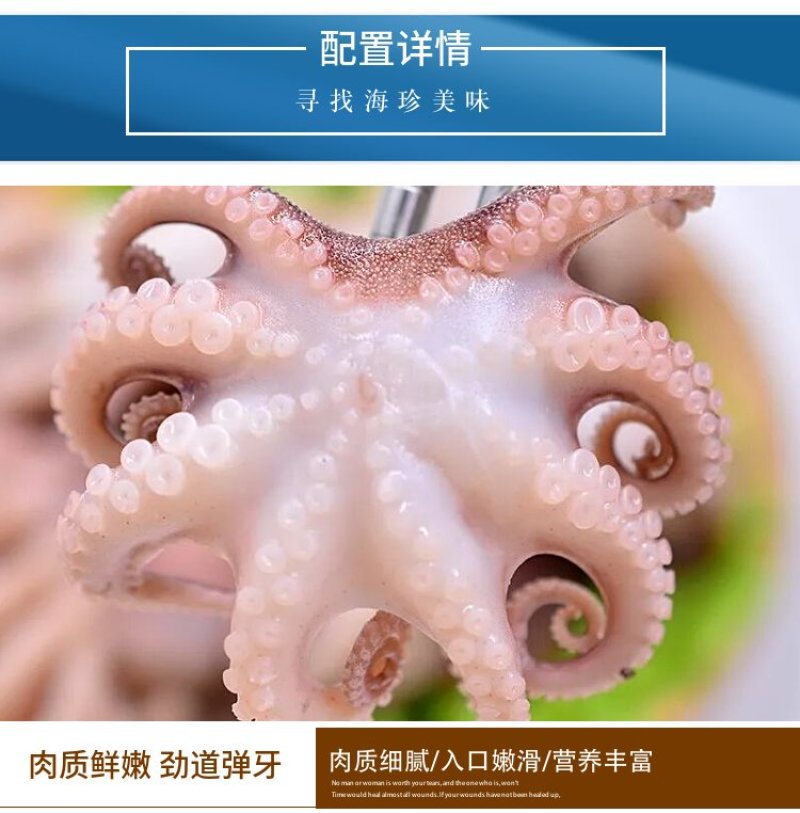 无冰衣新鲜迷你八爪鱼大长腿去内脏八抓鱼章鱼大爆头火锅海鲜