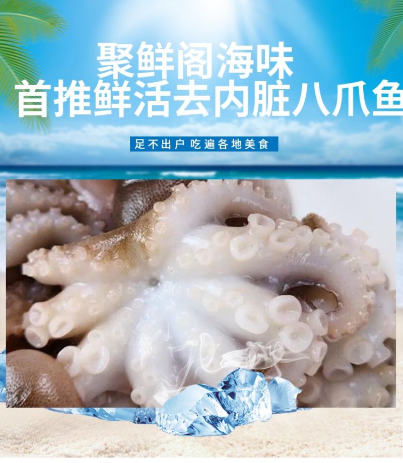 无冰衣新鲜迷你八爪鱼大长腿去内脏八抓鱼章鱼大爆头火锅海鲜