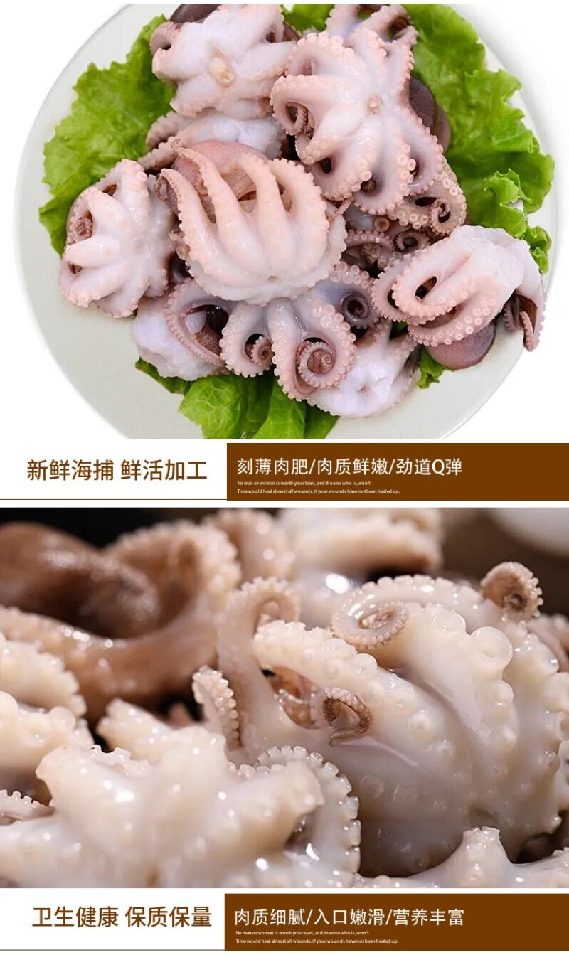 无冰衣新鲜迷你八爪鱼大长腿去内脏八抓鱼章鱼大爆头火锅海鲜