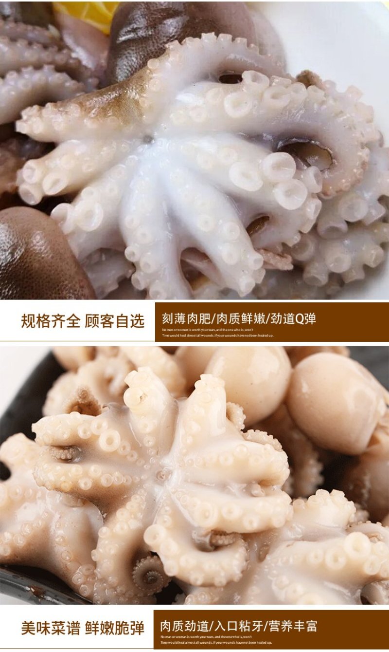无冰衣新鲜迷你八爪鱼大长腿去内脏八抓鱼章鱼大爆头火锅海鲜