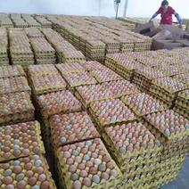 农家粉壳土鸡蛋放心好品质，农户直供高品质土鸡蛋