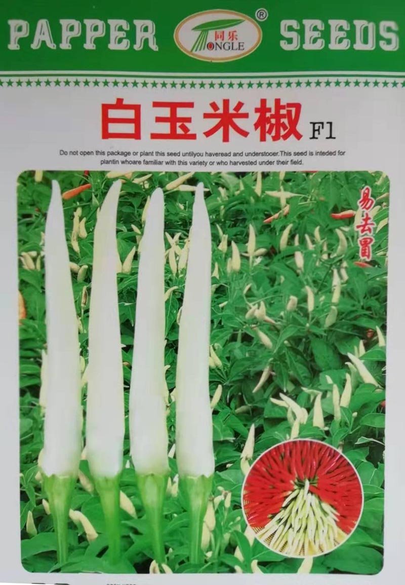 白玉米椒白米椒白朝天椒种子一包5克正品包邮