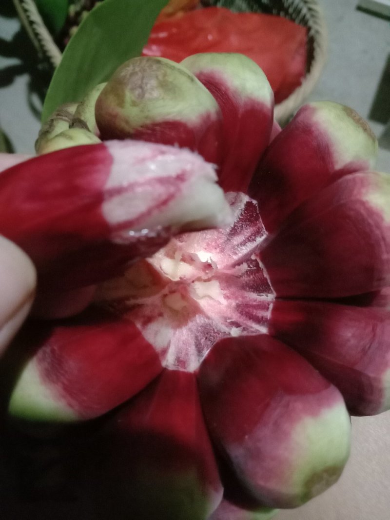 布福娜（黑老虎）果