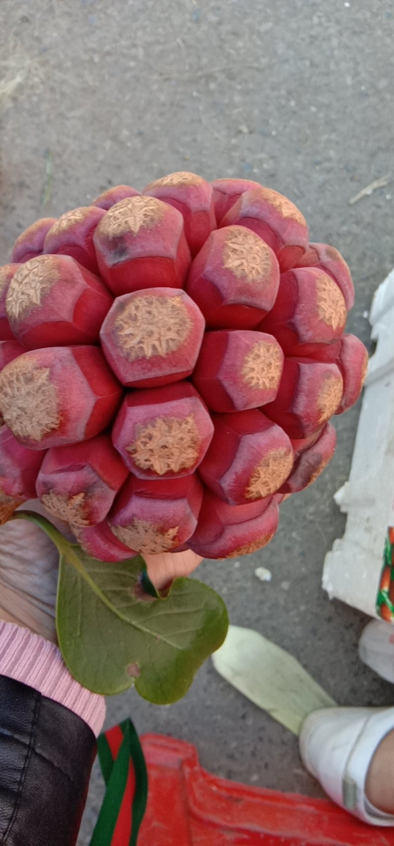 布福娜（黑老虎）果