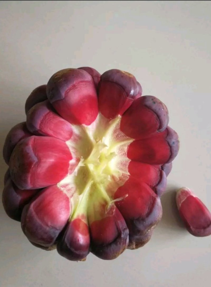 布福娜（黑老虎）果