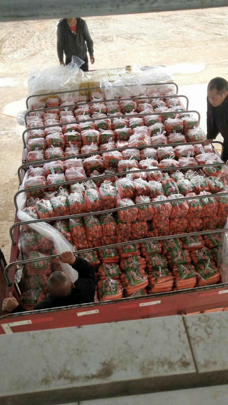 三红红萝卜【河南开封通许万亩基地直供高质量高标准】
