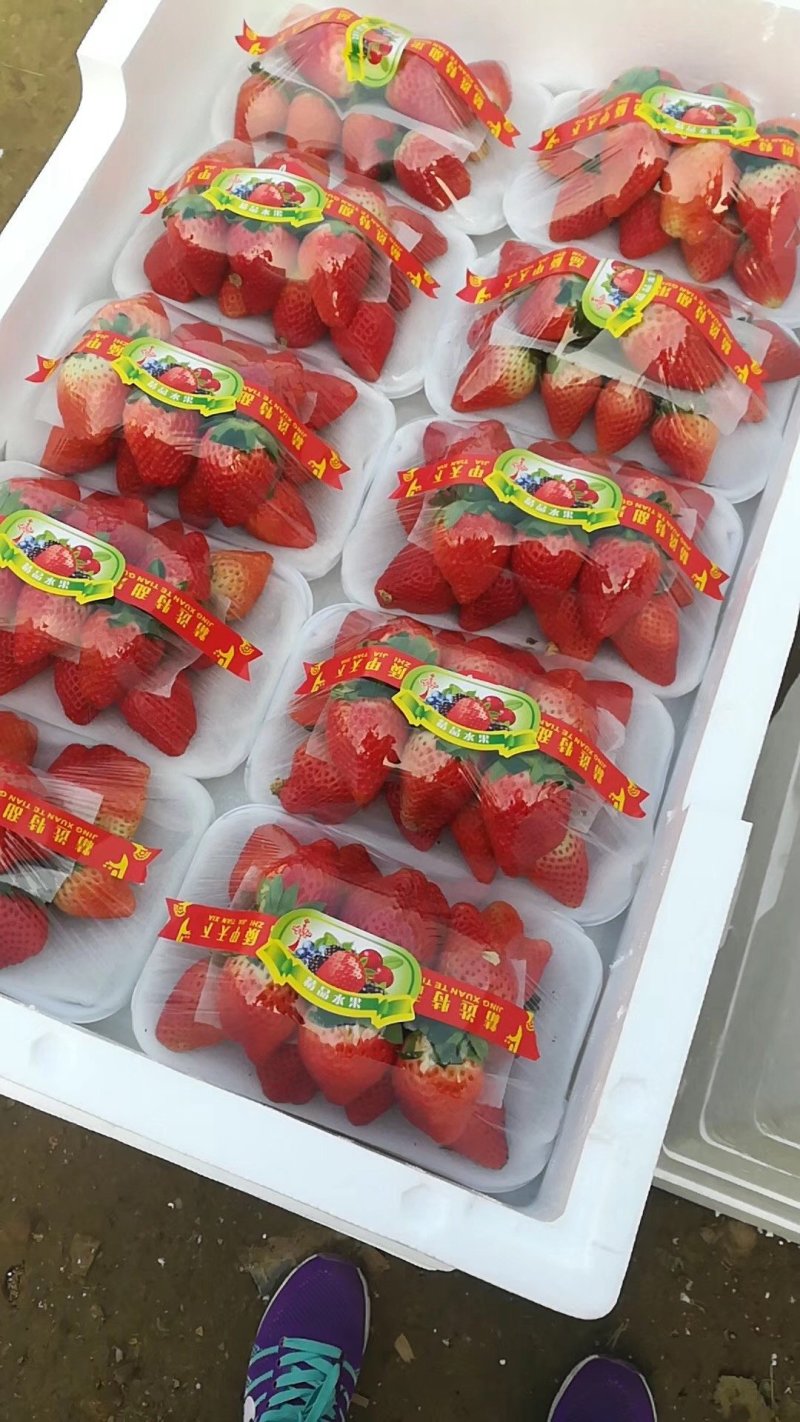 宁玉大量上市