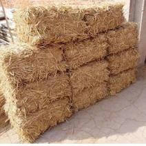 大量供应优质干稻草谷草牛羊牧草稻草饲料常年有货量大从优