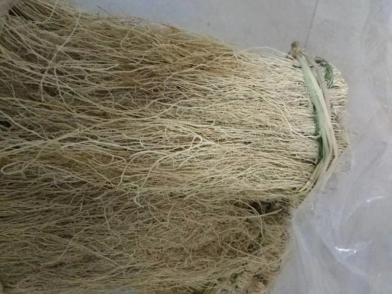 农产品龙须根