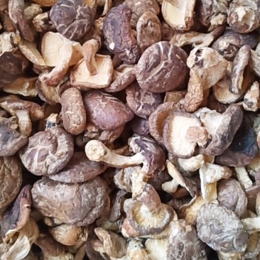 广西金秀大瑶山土特产，香菇，薄菇500克