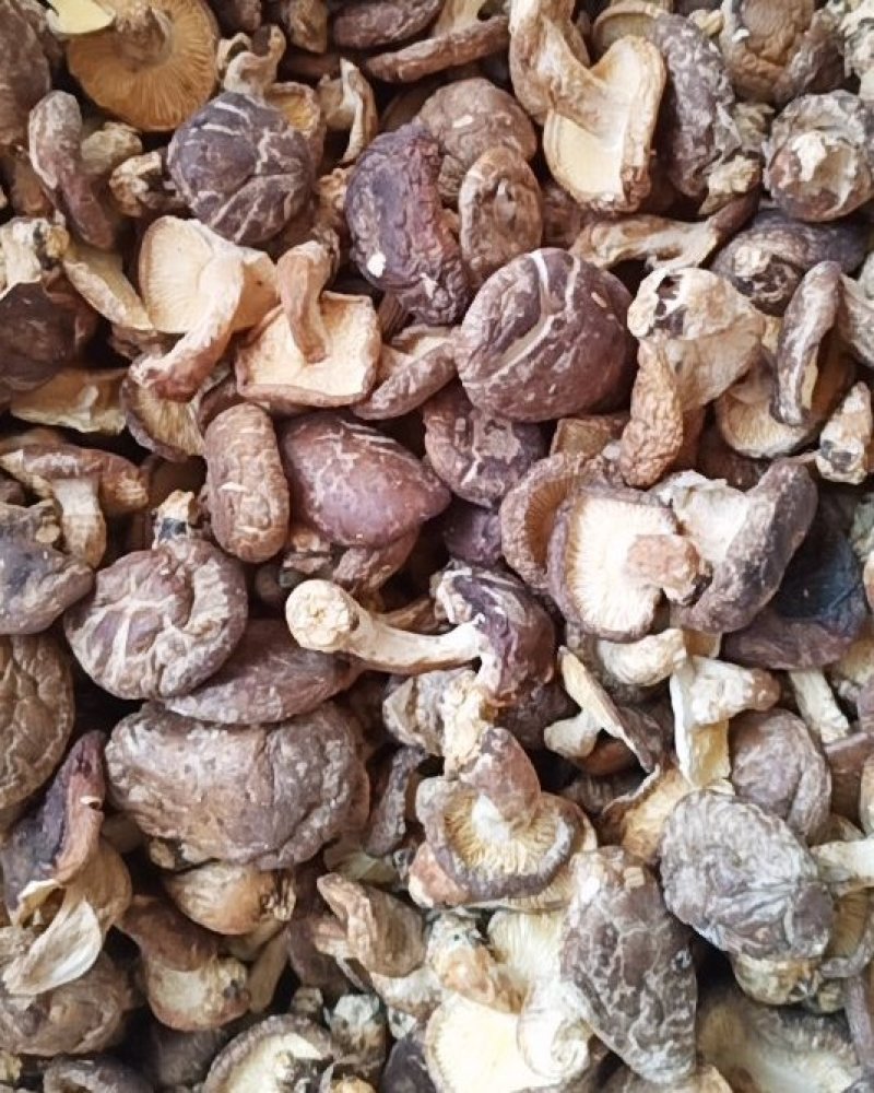 广西金秀大瑶山土特产，香菇，薄菇500克