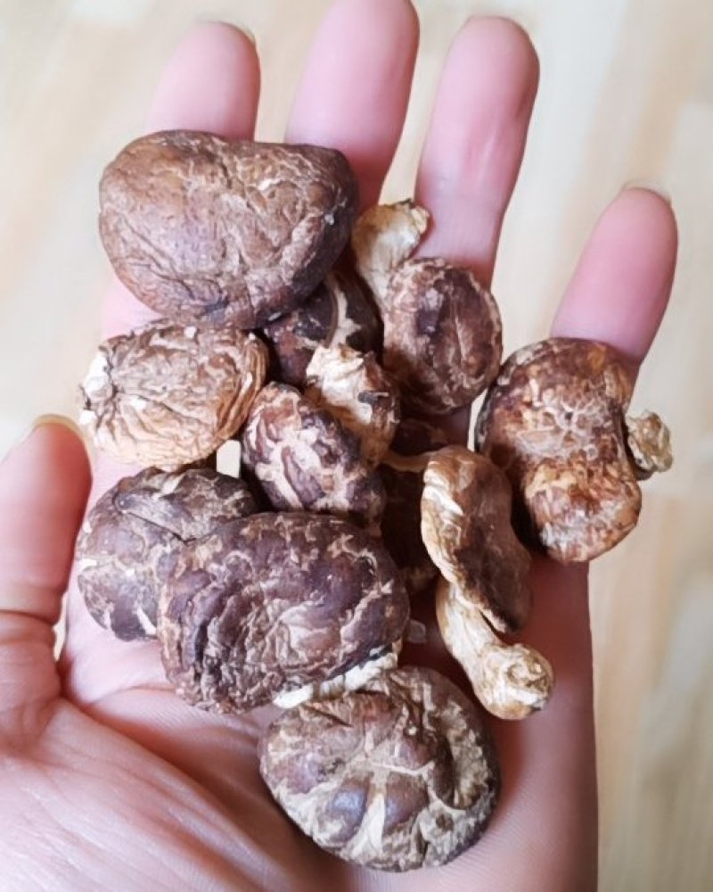 广西金秀大瑶山土特产，香菇，薄菇500克