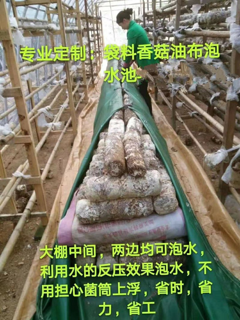 泡袋，泡布