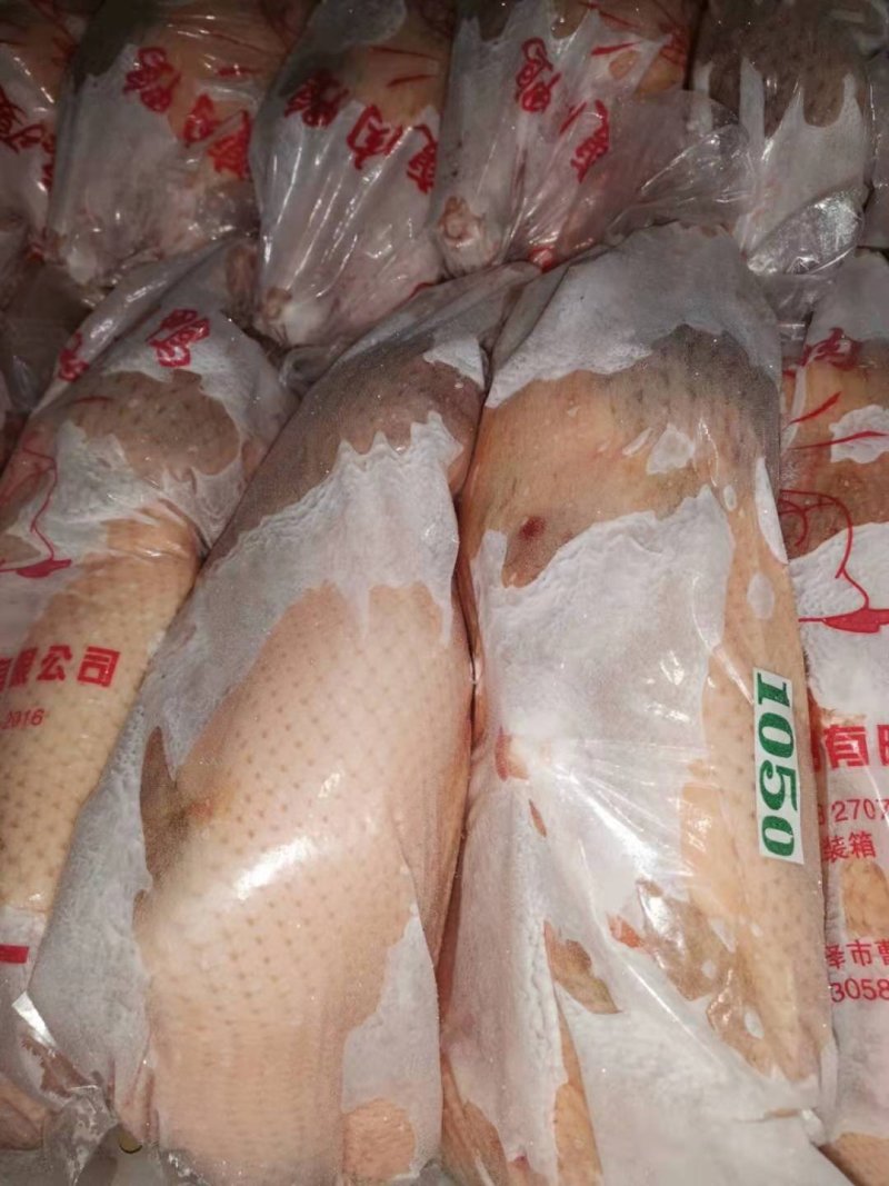 4斤以上白条鸭有货，质量好，毛干净