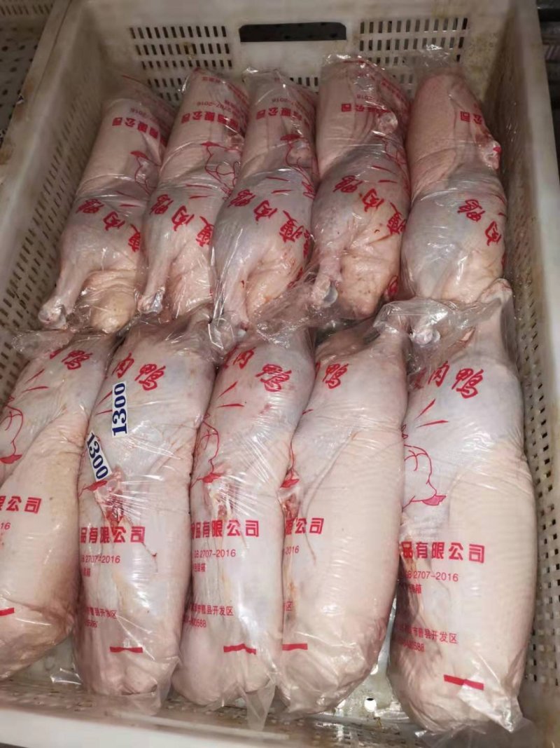 4斤以上白条鸭有货，质量好，毛干净