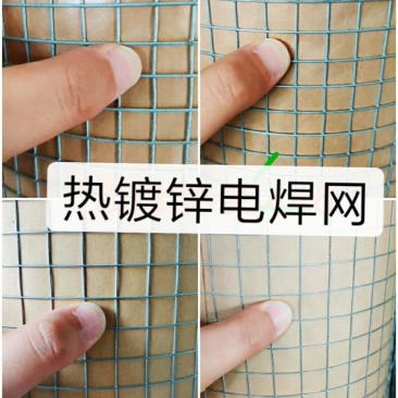防虫鼠蛇网热镀锌电焊网鸡鸭鹅铺底网漏洞网围栏网铁丝网栅栏