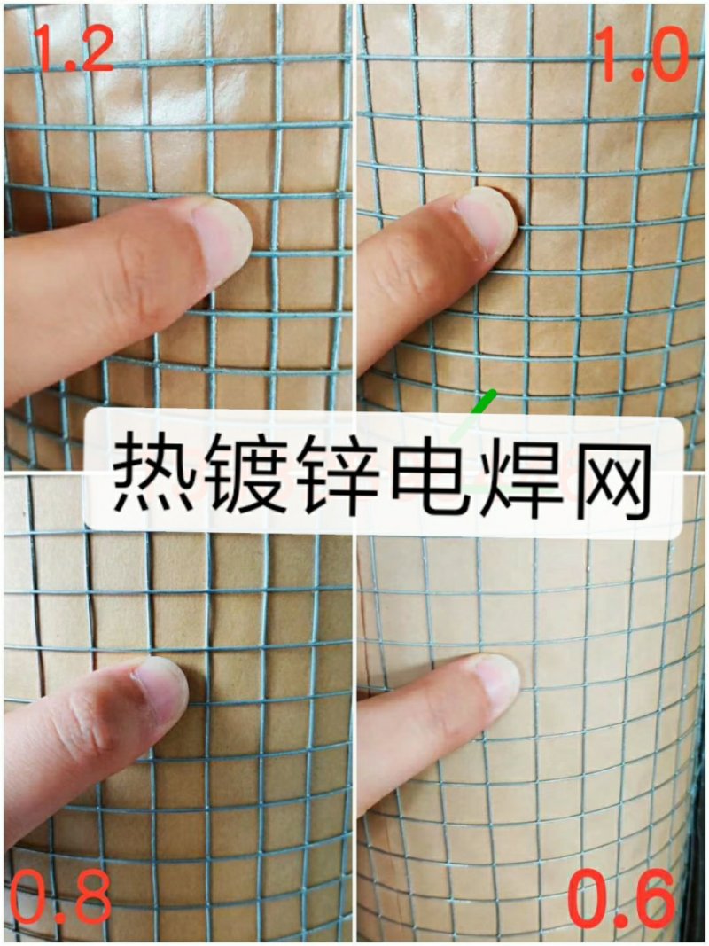 防虫鼠蛇网热镀锌电焊网鸡鸭鹅铺底网漏洞网围栏网铁丝网栅栏