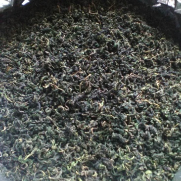 桑叶茶