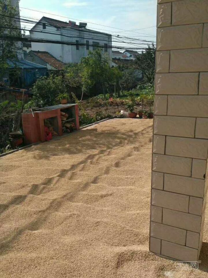 农场大米5055出售