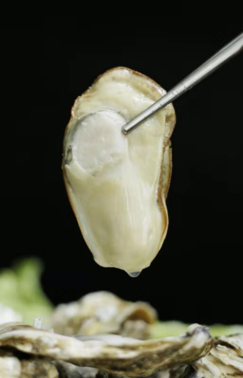 乳山生蚝肉一斤装不加水肉大饱满
