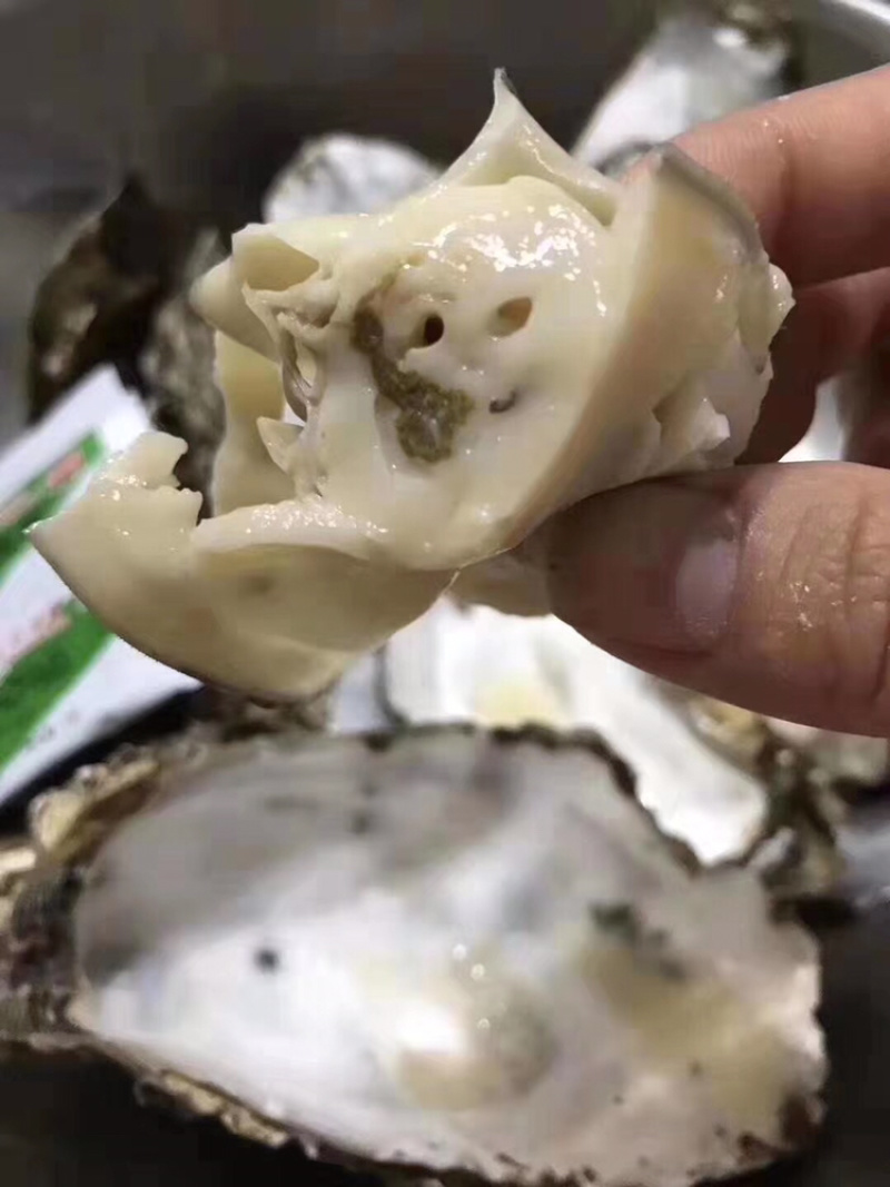 乳山生蚝肉一斤装不加水肉大饱满
