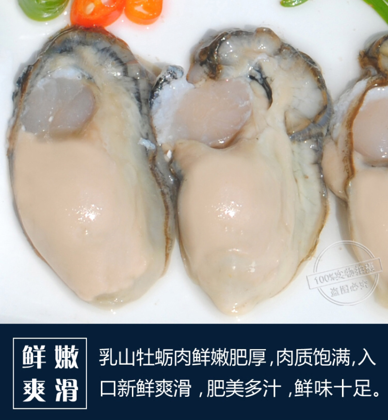 乳山生蚝肉一斤装不加水肉大饱满