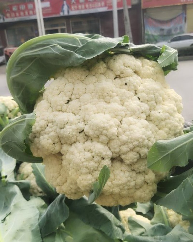 有机花菜自己种的价格便宜