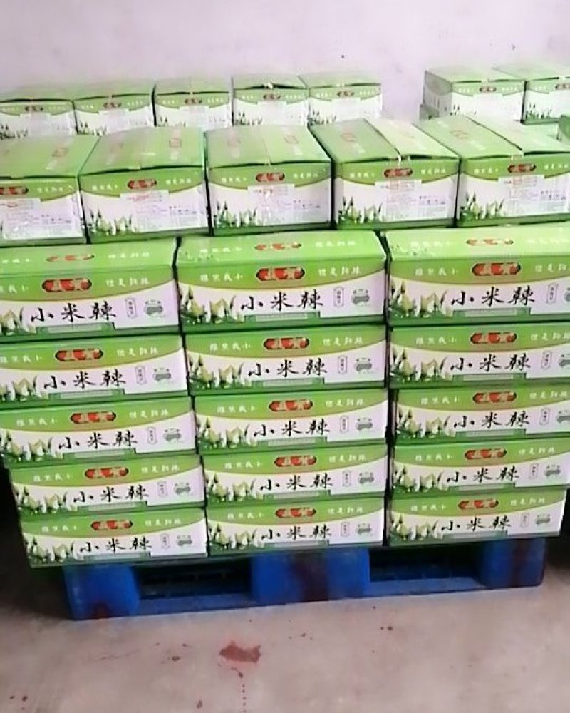 云南小米辣