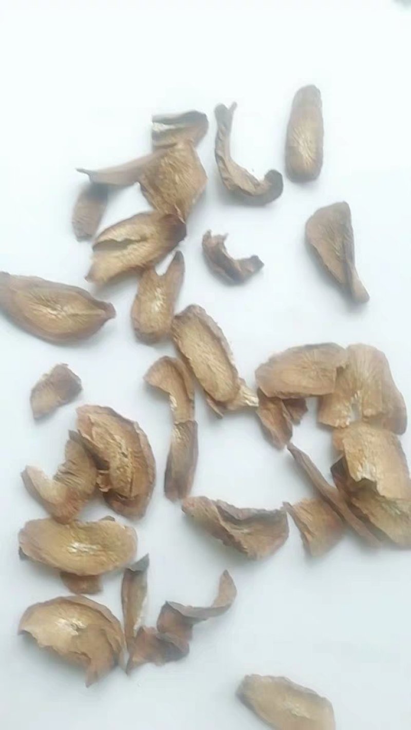 牛蒡牛膀牛蒡片’正常发货农家初选1111