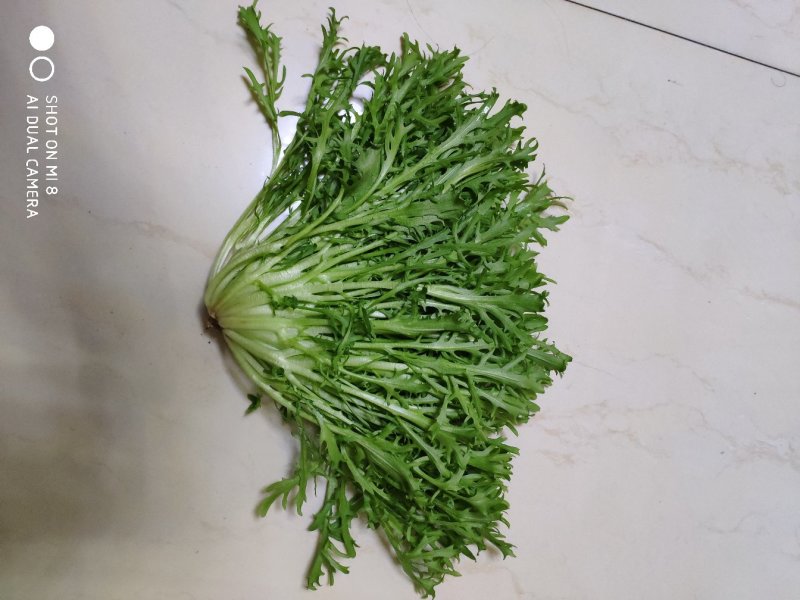 精品苦菊大量上市良心做事赚辛苦钱