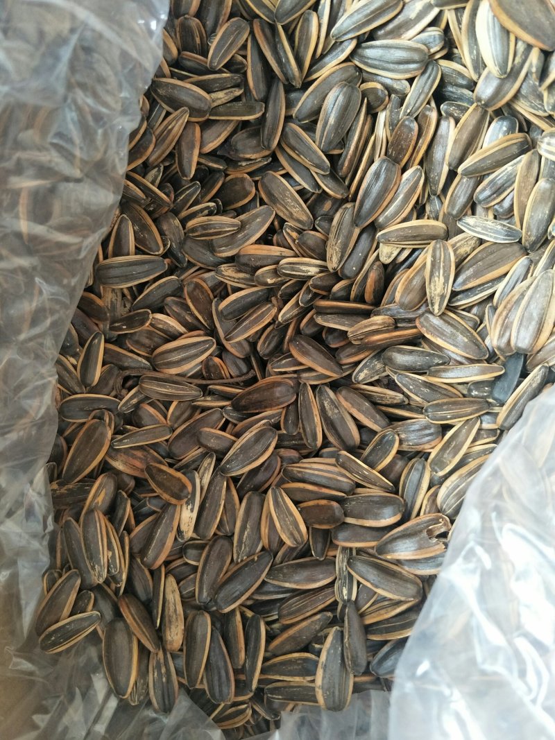 2019年货心新瓜子颗粒饱满价格美丽