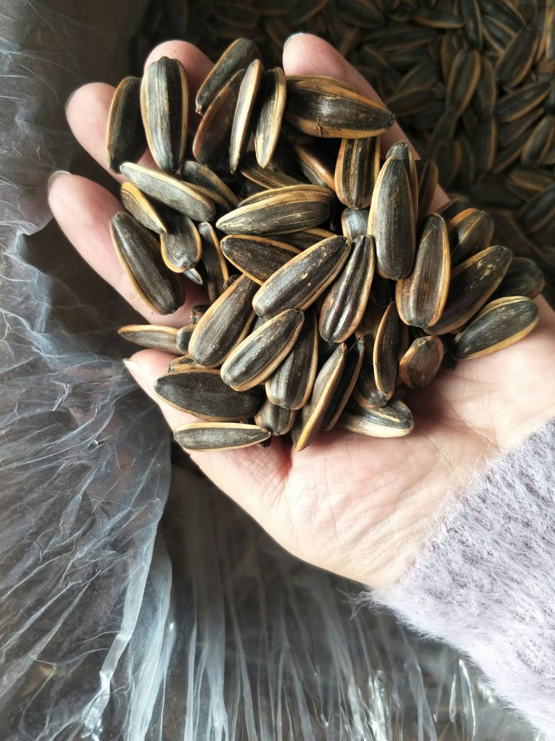2019年货心新瓜子颗粒饱满价格美丽