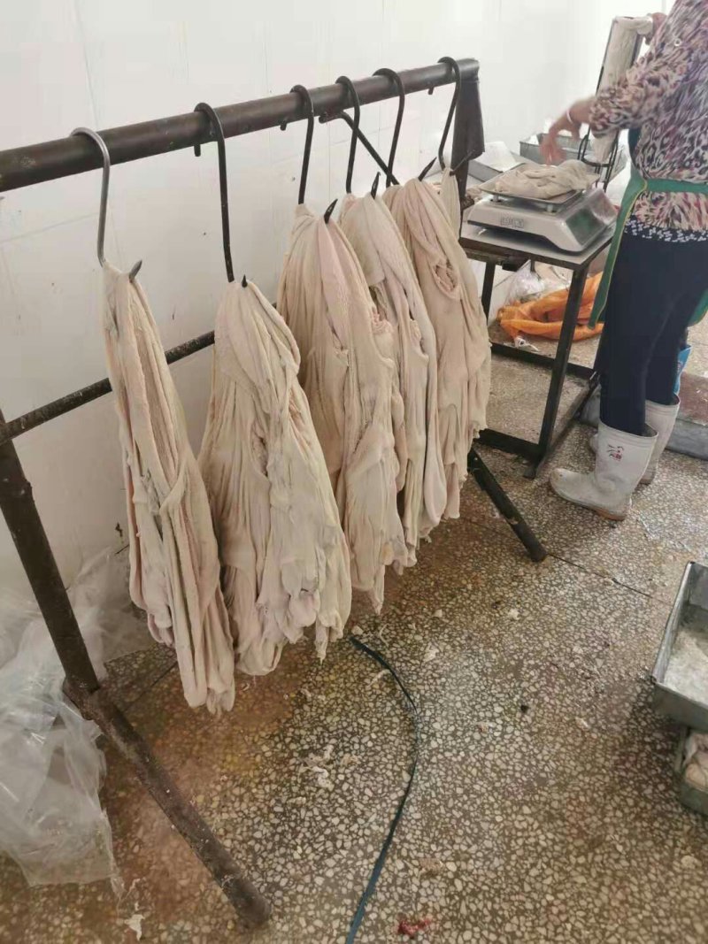长年批发零售本地羔羊净肚，照片实物拍摄质量保证