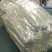 糯米草心很适合绑食品类的东西。