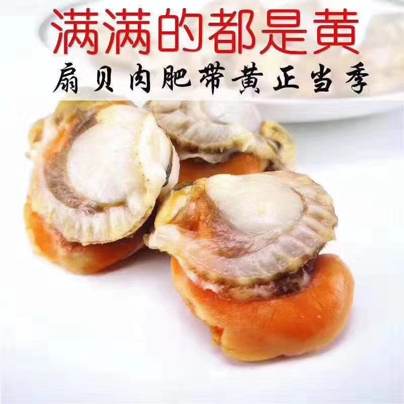 冷冻扇贝肉，带黄扇贝肉，质量请看图，