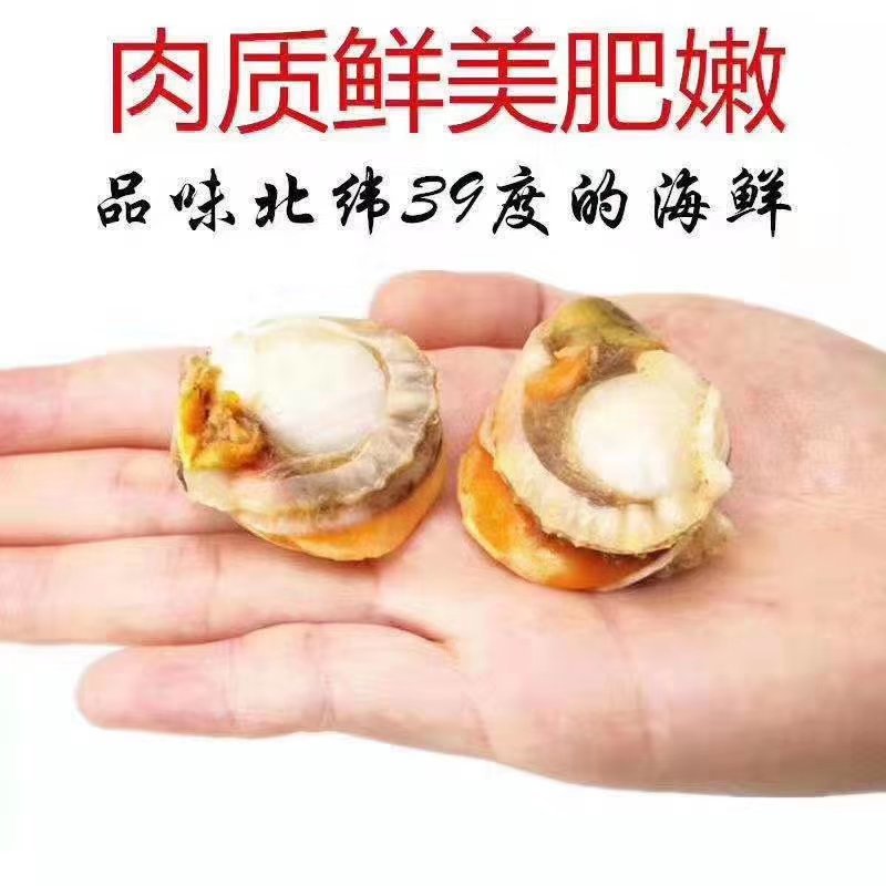 冷冻扇贝肉，带黄扇贝肉，质量请看图，