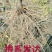 正宗墨石榴苗现挖现卖包质量基地直销